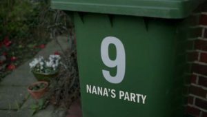 inside-n9-nanas-party